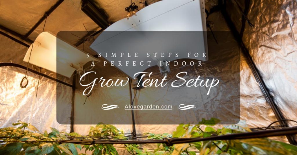 grow tent setup
