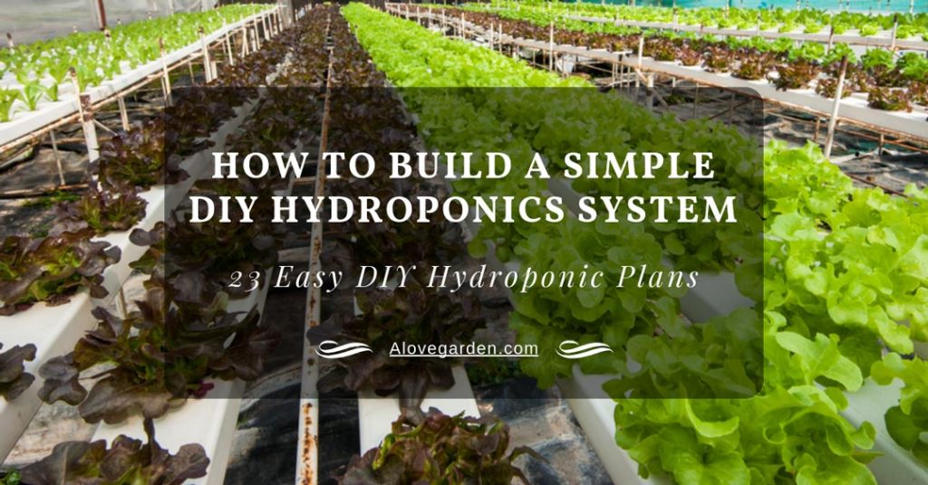 DIY Hydroponics