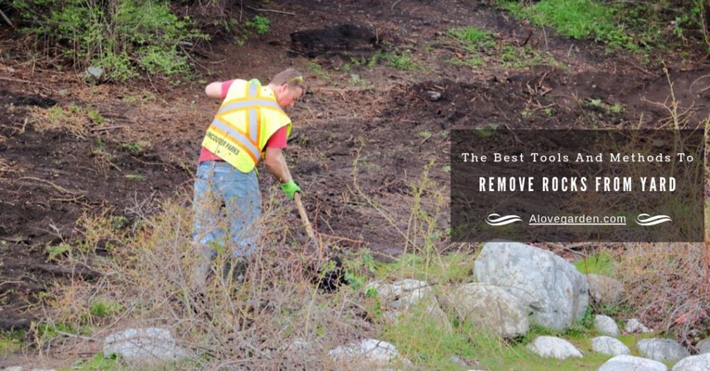 remove rocks from yard