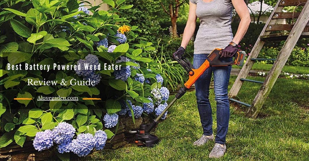 best battery powered weed eater