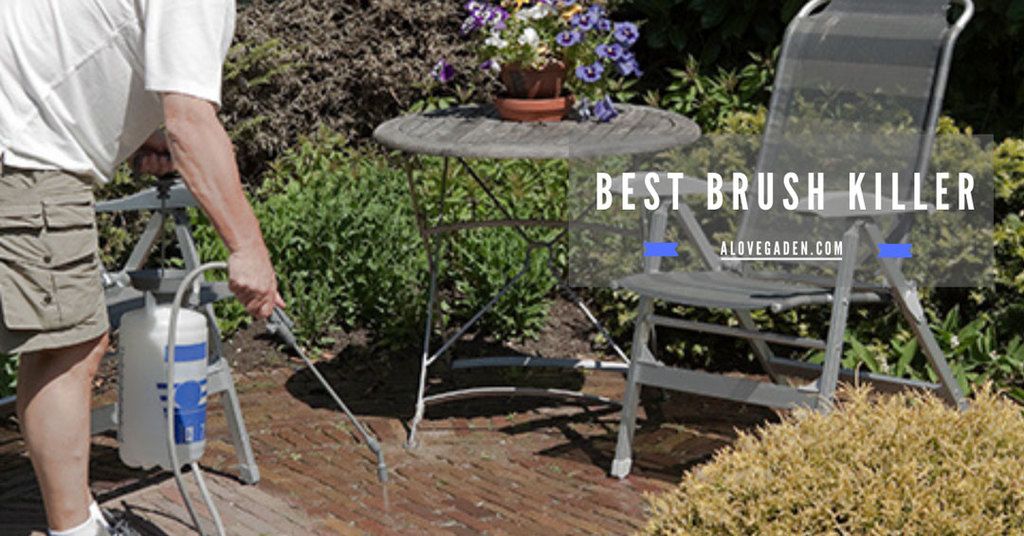 best brush killer