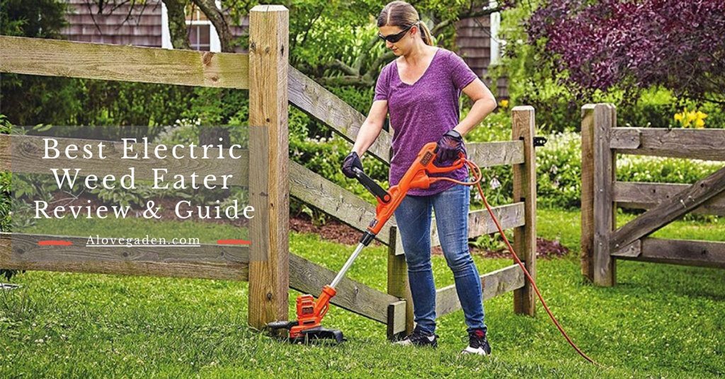 best electric weed eater