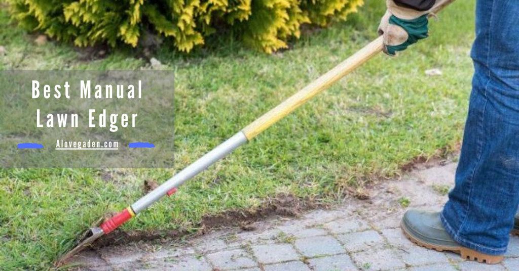 best manual lawn edger