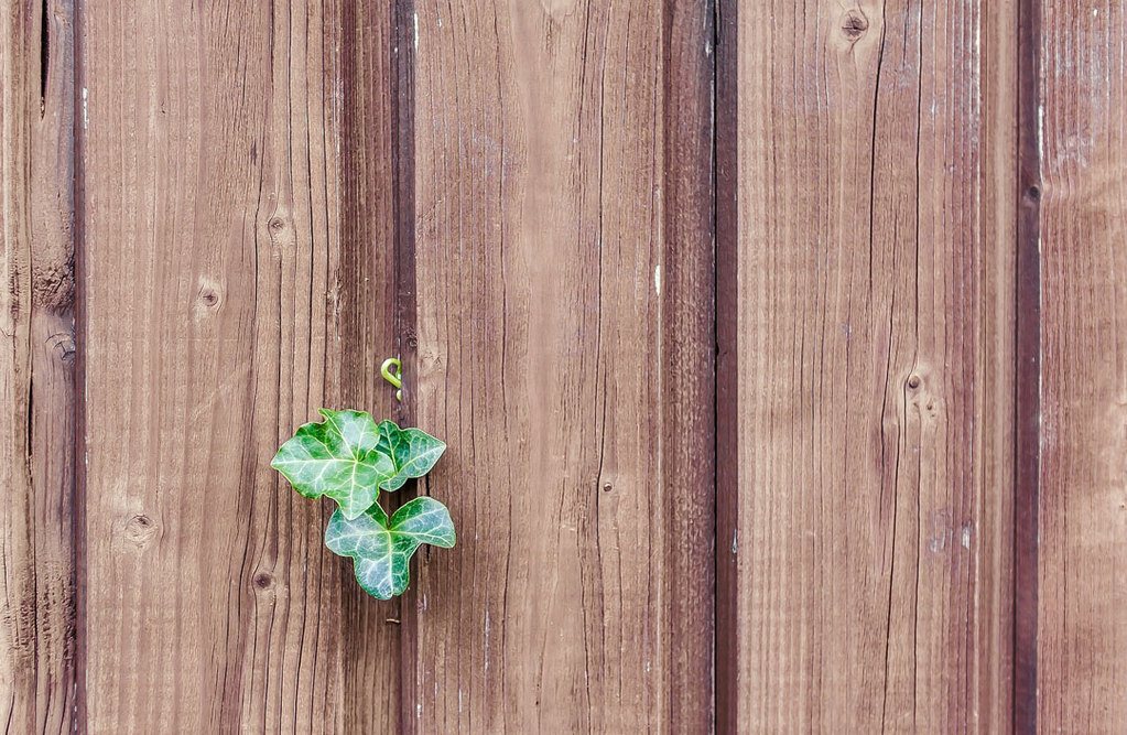 how to build a great wooden garden fence