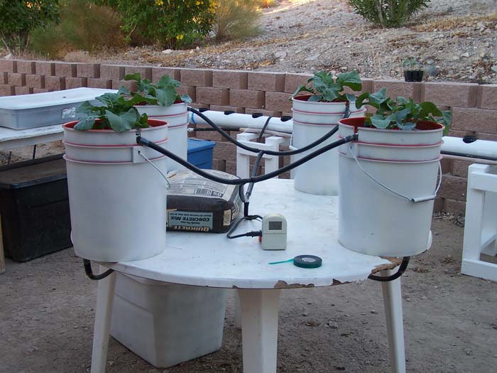 Bucket Hydroponics Drip System