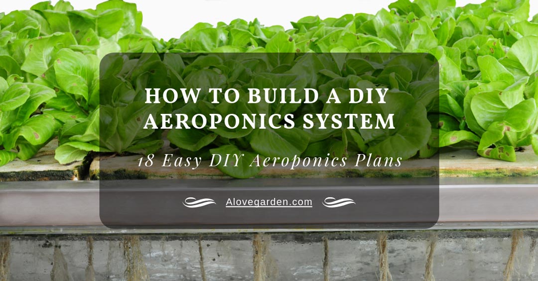 diy aeroponics