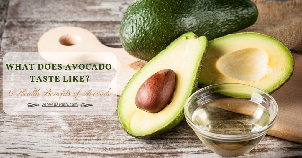 what does avocado taste like