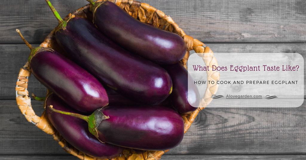 what does eggplant taste like