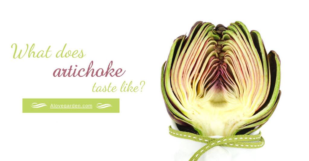 what does artichoke taste like