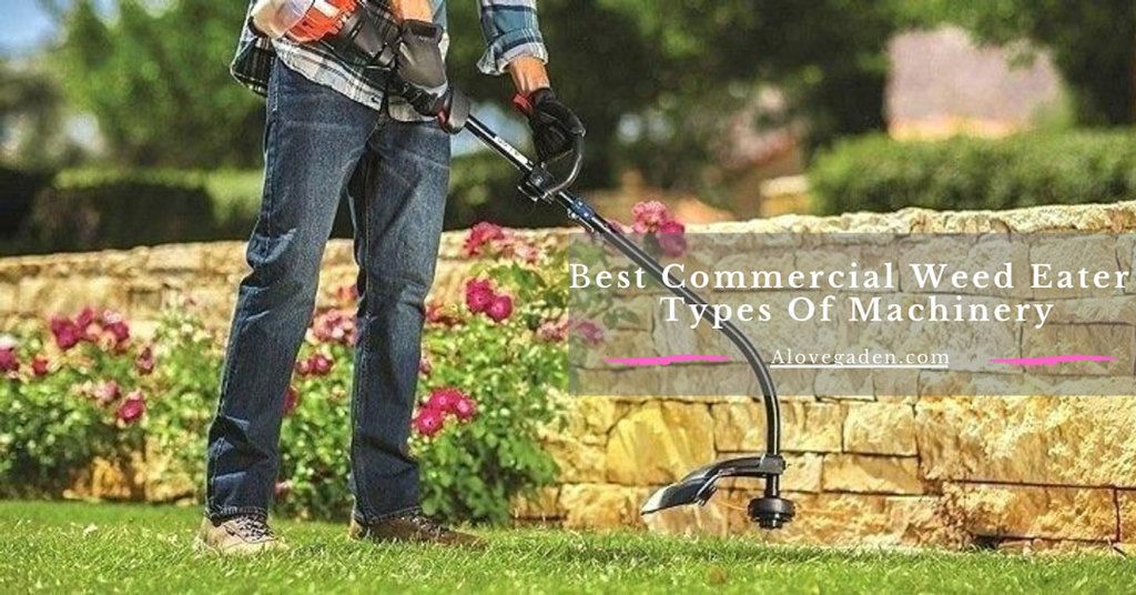 best commercial weed eater