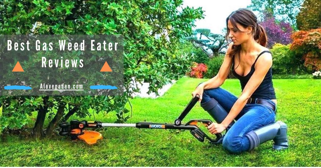 best gas weed eater