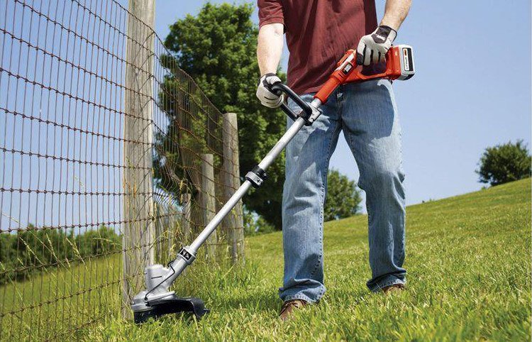best electric weed eater