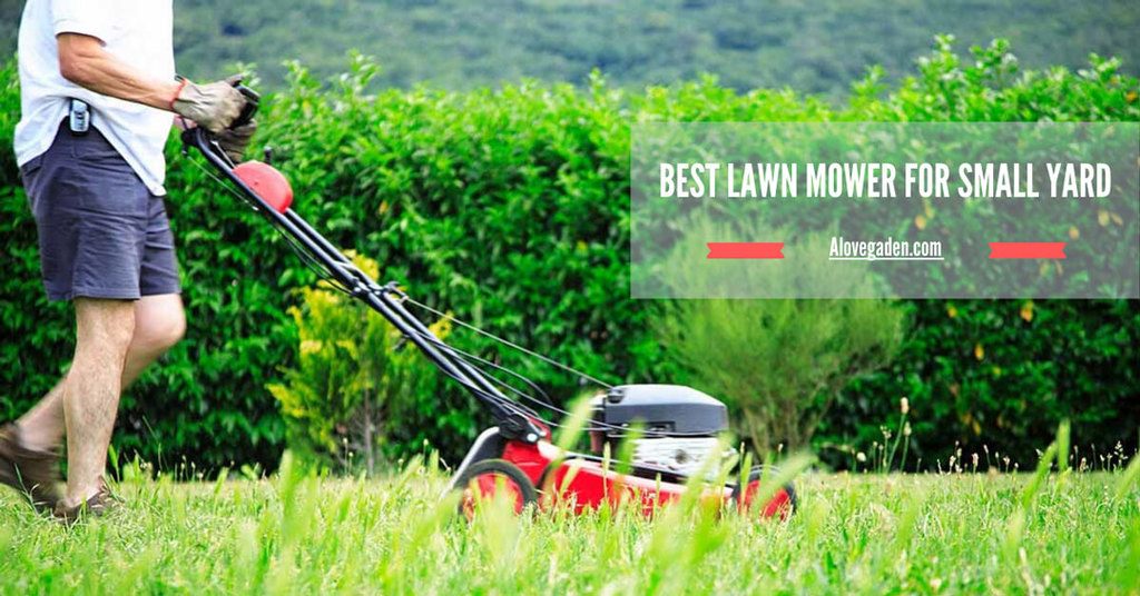 best lawn mower for small yard