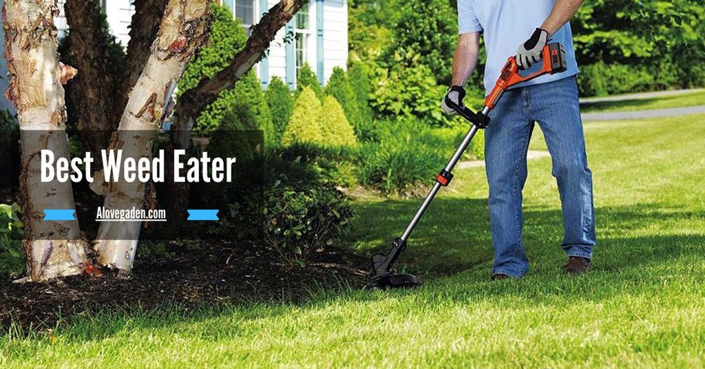 Best Weed Eater