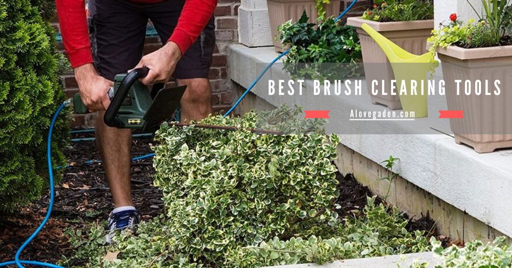 best brush clearing tools