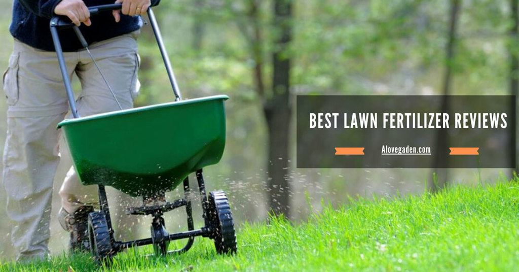 Best Lawn Fertilizer Reviews