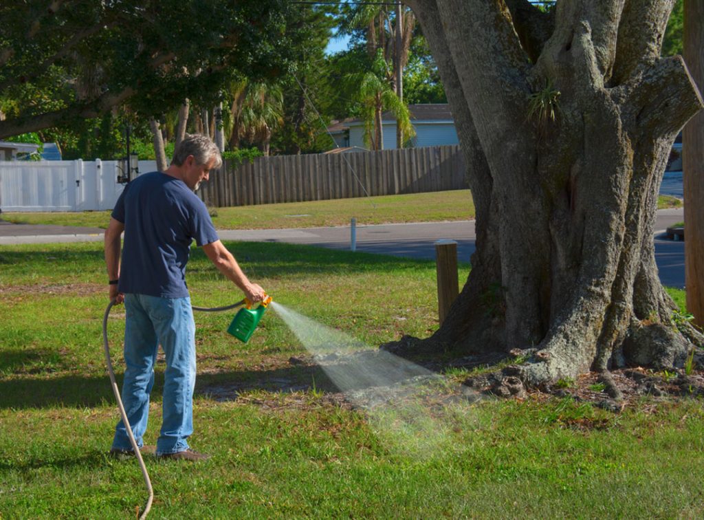 killing weeds